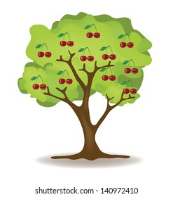 Cherry. Tree vector illustration