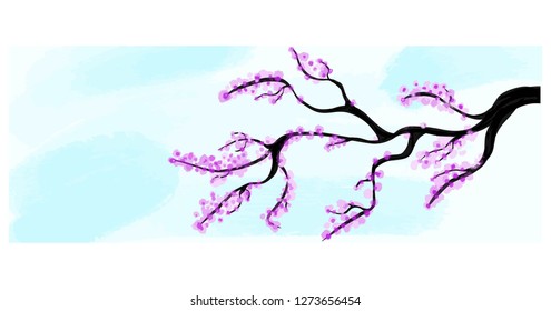 Cherry tree watercolor vector
