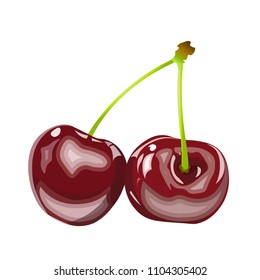 Cherry. Two berries isolated on white.  Vector illustration