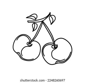 Cherry, two berries, on a branch with leaves, freehand drawing, with a black stroke, on a transparent background, for coloring and printing