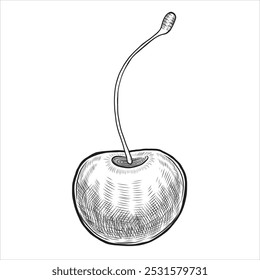 Vetor de cereja preto e branco desenho esboço. Ilustração sombreada desenhada à mão de baga de verão. Gravação de linha para design de embalagem em estilo retro.