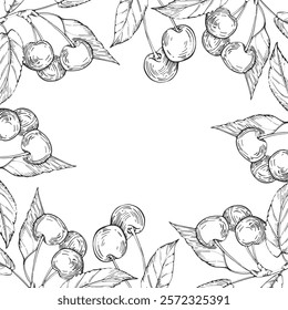 Cherry vector black and white frame hand drawn with ink. Border with leaves, berries of raspberry on a white background. Template for label design