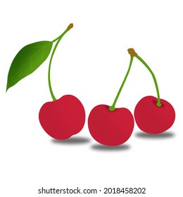 Cherry vector for children's book, flashcard, alphabet