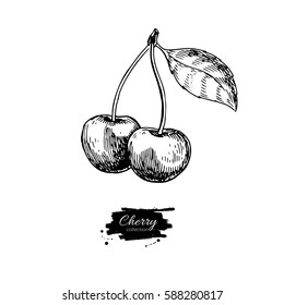 Cherry vector drawing. Isolated hand drawn two berries on white background.  Summer fruit engraved style illustration. Detailed vegetarian food. Great for label, poster, print