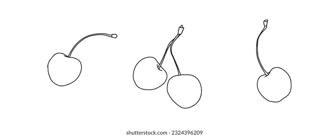 Cherry vector drawing set. Isolated hand drawn berry on white background. Summer fruit