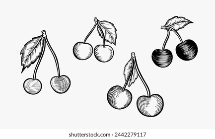 Cherry vector drawing set. Isolated hand drawn berry on white background. Summer fruit engraved style illustration. Detailed vegetarian food. Great for label, poster, print