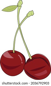 cherry vector, cherry flat design