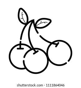 Cherry vector icon
