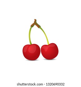 Cherry vector icon
