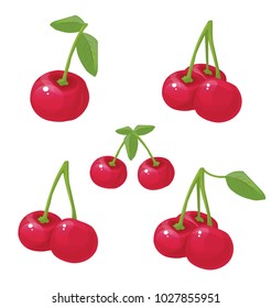 cherry, vector illustration