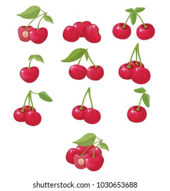 cherry, vector illustration