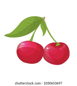 cherry, vector illustration