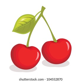 Cherry vector illustration