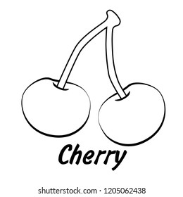 cherry vector illustration 