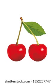 Cherry. Vector illustration