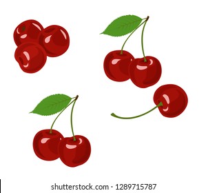 Cherry vector illustration. Cherry collection on white background.