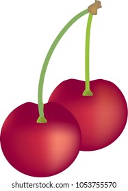 Cherry vector illustration design of background concept.
