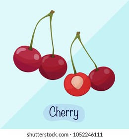 Cherry vector illustration, fruit slices design concept, cherry cut flat design.
