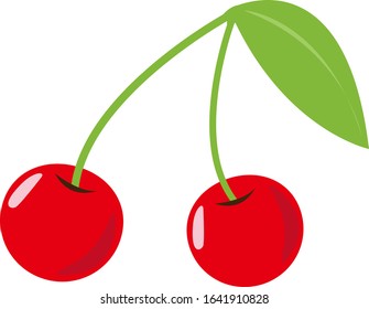 Cherry vector illustration . fruits