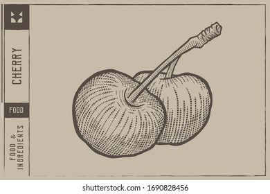 Ilustración del vector de cerezos - Dibujo manual - Línea de salida