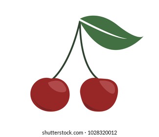 Cherry vector illustration isolated
