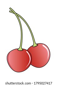 cherry vector illustration.
isolated on white background.Fruits top view