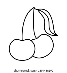 Cherry. Vector illustration, isolated on a white background.