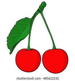Cherry. Vector illustration isolated on white background