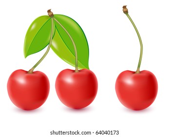 cherry vector illustration isolated on white background