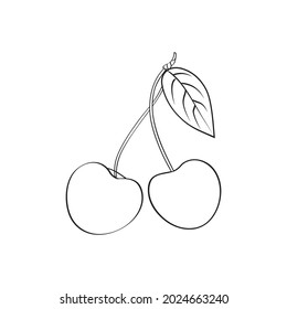 Cherry vector illustration, line art decorative berry, hand drawn ink doodle isolated on white, for design cosmetic, greeting card, invitation, harvest festival, organic food restaurant menu