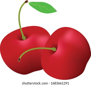 Cherry vector illustration nutrition and healthy food