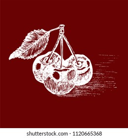 Cherry vector illustration of a cherry white chalk on a cherry background