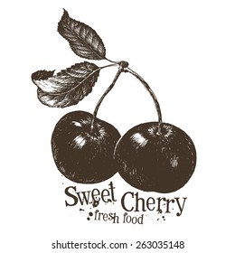 cherry vector logo design template. fruit or fresh food icon.