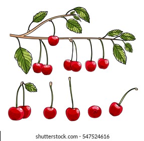cherry vector set art illustration