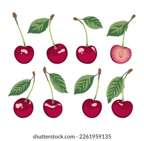 Cherry vector set. Cherry berries on a white background. Vegetarian food.