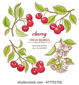 cherry vector set  on white background