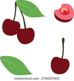 Cherry vector set with whole cherries, pairs, leaves and sliced fruit. High-quality, fresh and bright illustration ideal for food design, packaging, labels and recipes.