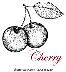 Cherry. Vector stock illustration. Black and white sketch. Hand drawing.Isolated on white background. Whole berry. Plant. For packaging and labeling food.