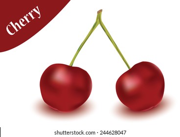 cherry vector in white background, cherry vector