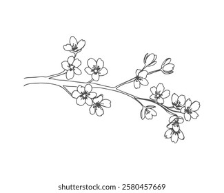 Cherry vibe, cherry blossom branch sketch drawing, flowers contour stylized drawing, isolated on white background, careless sloppy simple drawing