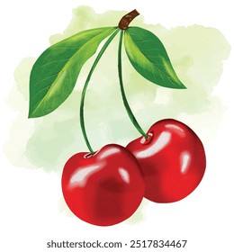 Cherry Watercolor hand drawing on it.