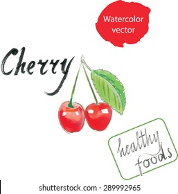 Cherry watercolor, hand drawn, vector