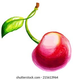 cherry watercolor painting on white background