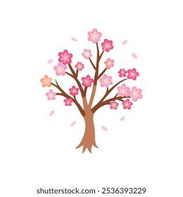 cherry-blossom Hinami icon vector illustration