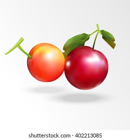 Cherry-plum