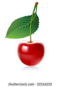 Cherry.Vector illustration.