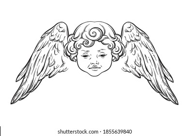 Cherub cute winged curly smiling baby boy angel with rays of linght isolated over white background. Hand drawn design vector illustration