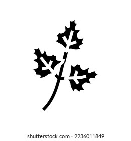 chervil salad food glyph icon vector. chervil salad food sign. isolated symbol illustration