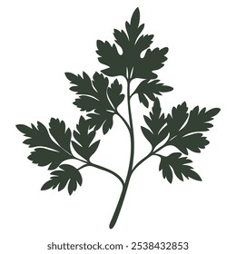 Chervil Silhouette Vector Illustration Art