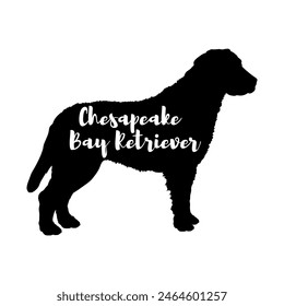 Chesapeake Bay Retriev Dog silhouette dog breeds logo dog monogram vector
